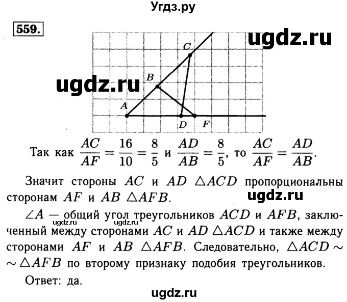 ГДЗ (Решебник №1 к учебнику 2016) по геометрии 7 класс Л.С. Атанасян / номер / 559