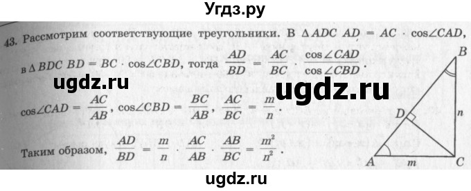 ГДЗ (решебник №2) по геометрии 7 класс А.В. Погорелов / параграф 11 / 43