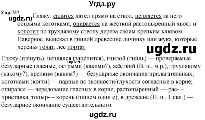 ГДЗ (Решебник к учебнику 2023) по русскому языку 5 класс М.Т. Баранов / упражнение / 737