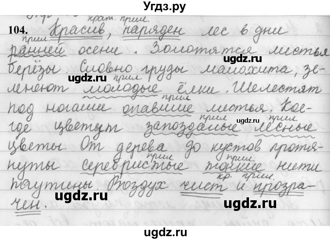 ГДЗ (Решебник к учебнику 2019) по русскому языку 5 класс М.Т. Баранов / упражнение / 104