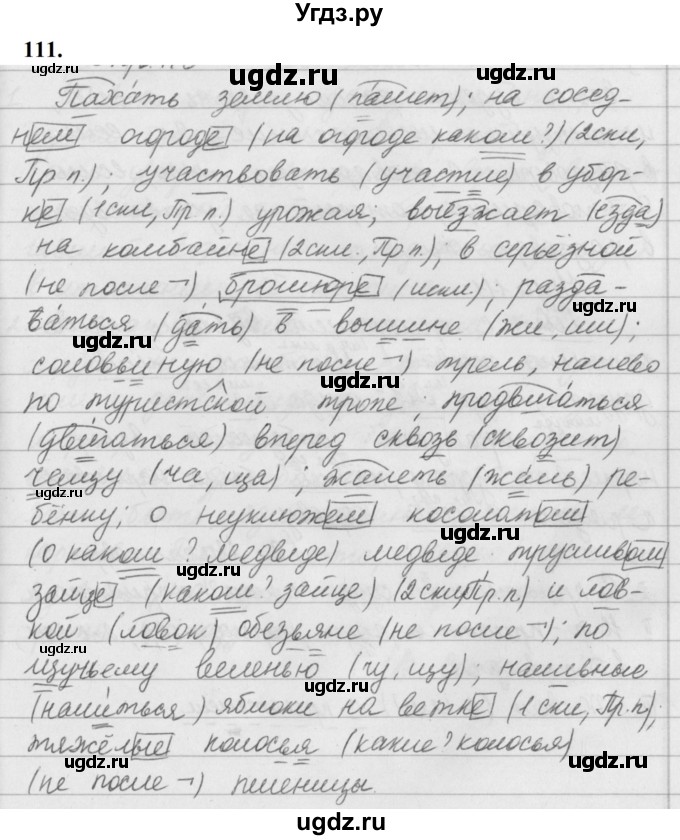 ГДЗ (Решебник к учебнику 2019) по русскому языку 5 класс М.Т. Баранов / упражнение / 111