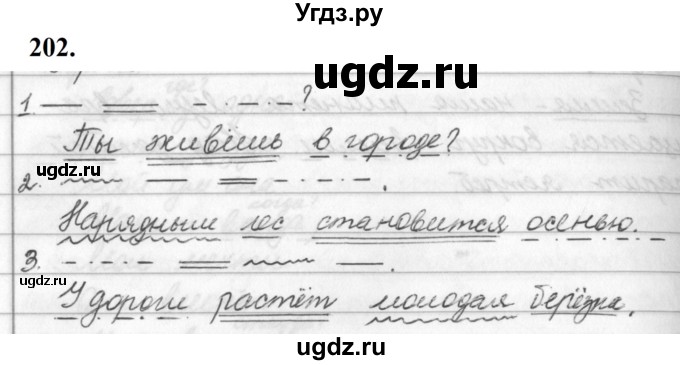 ГДЗ (Решебник к учебнику 2019) по русскому языку 5 класс М.Т. Баранов / упражнение / 202