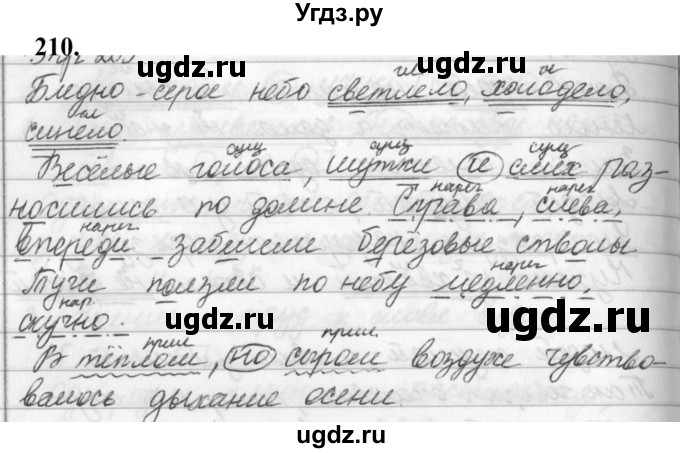 ГДЗ (Решебник к учебнику 2019) по русскому языку 5 класс М.Т. Баранов / упражнение / 210