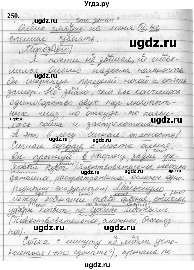 ГДЗ (Решебник к учебнику 2019) по русскому языку 5 класс М.Т. Баранов / упражнение / 250