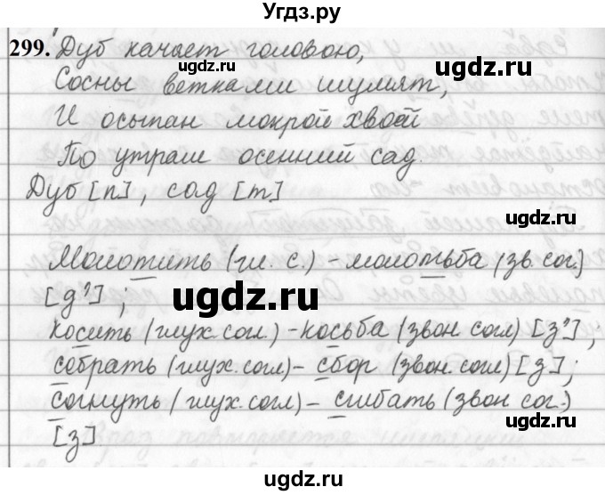 ГДЗ (Решебник к учебнику 2019) по русскому языку 5 класс М.Т. Баранов / упражнение / 299