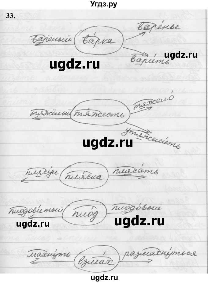 ГДЗ (Решебник к учебнику 2019) по русскому языку 5 класс М.Т. Баранов / упражнение / 33