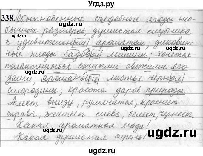 ГДЗ (Решебник к учебнику 2019) по русскому языку 5 класс М.Т. Баранов / упражнение / 338
