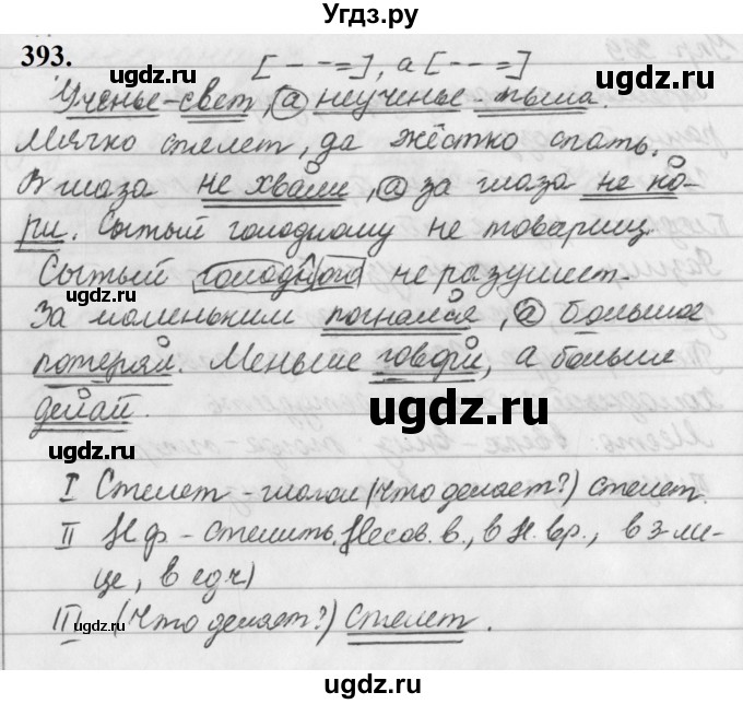 ГДЗ (Решебник к учебнику 2019) по русскому языку 5 класс М.Т. Баранов / упражнение / 393