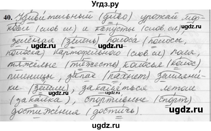 ГДЗ (Решебник к учебнику 2019) по русскому языку 5 класс М.Т. Баранов / упражнение / 40