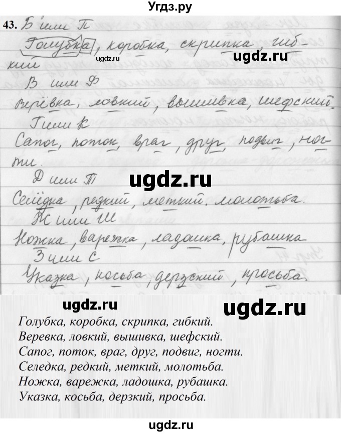ГДЗ (Решебник к учебнику 2019) по русскому языку 5 класс М.Т. Баранов / упражнение / 43