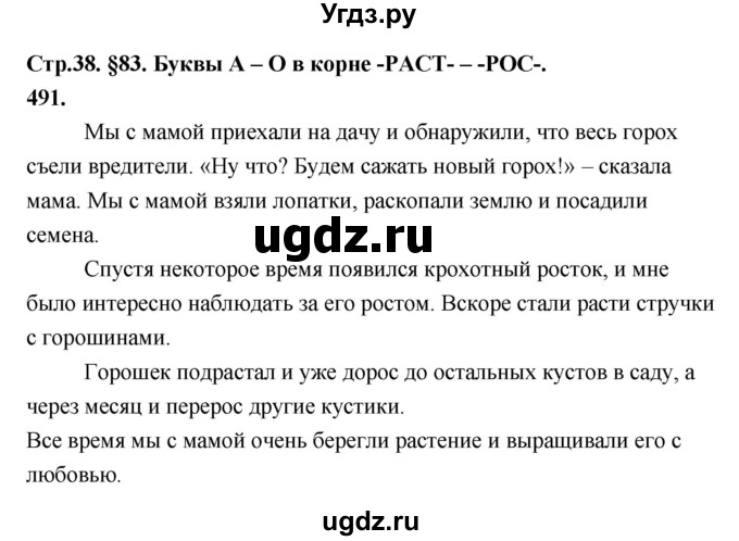 ГДЗ (Решебник к учебнику 2019) по русскому языку 5 класс М.Т. Баранов / упражнение / 491