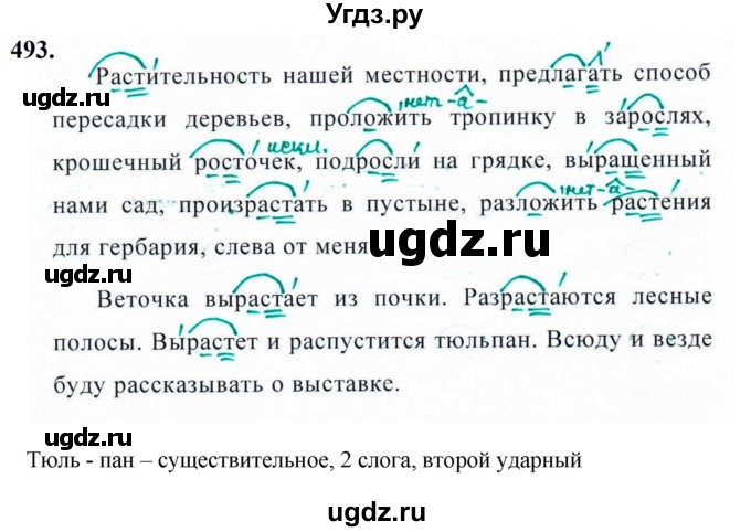 ГДЗ (Решебник к учебнику 2019) по русскому языку 5 класс М.Т. Баранов / упражнение / 493