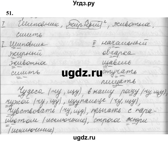 ГДЗ (Решебник к учебнику 2019) по русскому языку 5 класс М.Т. Баранов / упражнение / 51