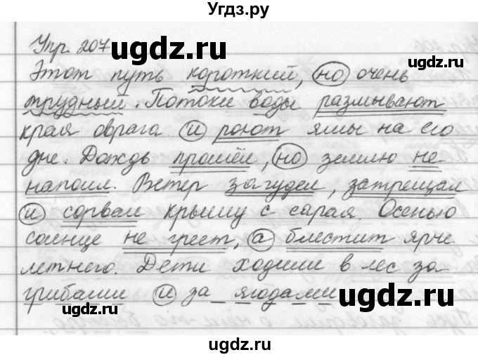 ГДЗ (Решебник №2 к учебнику 2016) по русскому языку 5 класс М.Т. Баранов / упражнение / 207