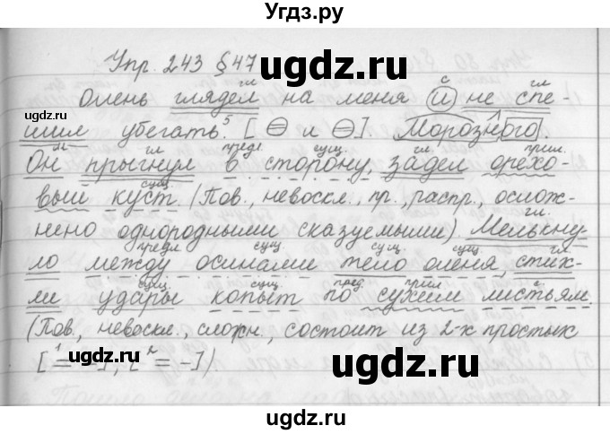 ГДЗ (Решебник №2 к учебнику 2016) по русскому языку 5 класс М.Т. Баранов / упражнение / 243