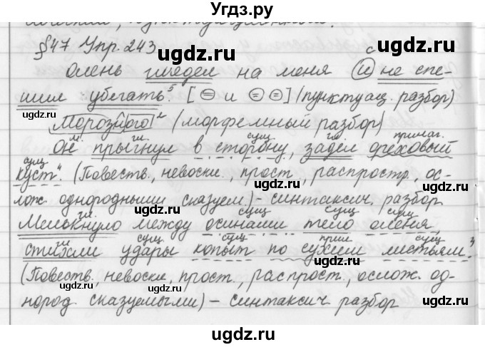 ГДЗ (Решебник №2 к учебнику 2016) по русскому языку 5 класс М.Т. Баранов / упражнение / 243(продолжение 2)