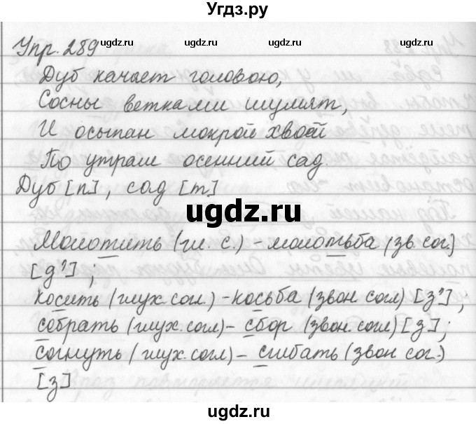 ГДЗ (Решебник №2 к учебнику 2016) по русскому языку 5 класс М.Т. Баранов / упражнение / 289
