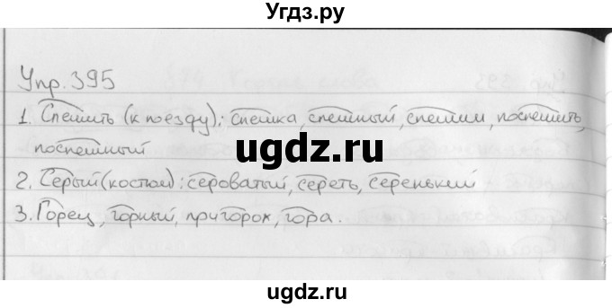 ГДЗ (Решебник №2 к учебнику 2016) по русскому языку 5 класс М.Т. Баранов / упражнение / 395