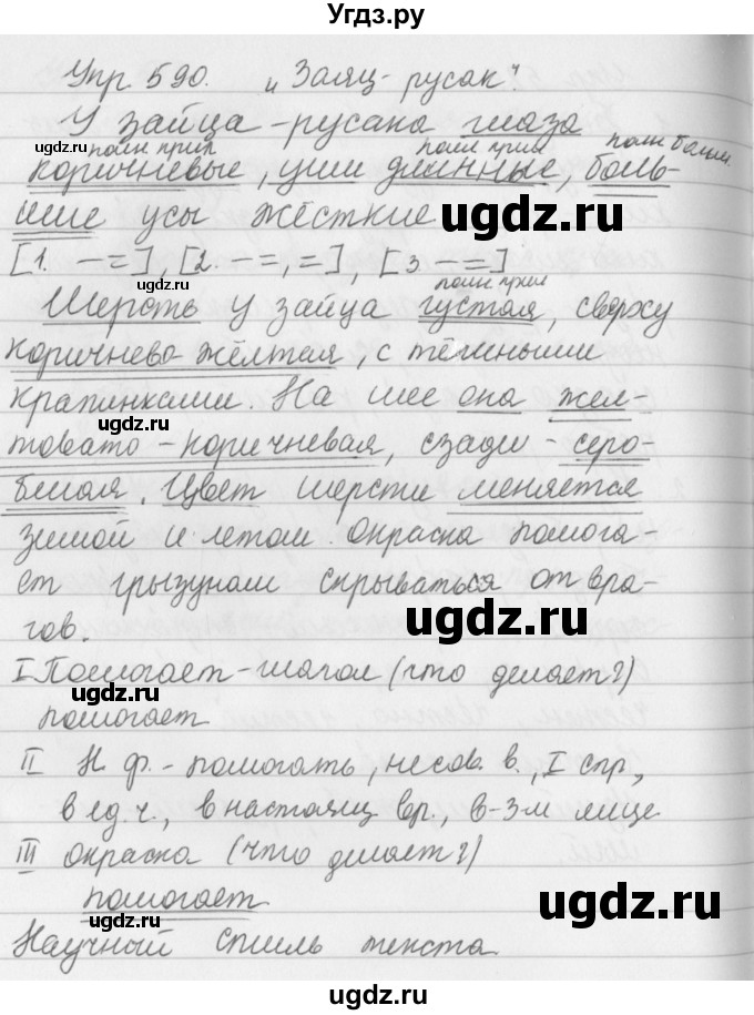 ГДЗ (Решебник №2 к учебнику 2016) по русскому языку 5 класс М.Т. Баранов / упражнение / 590