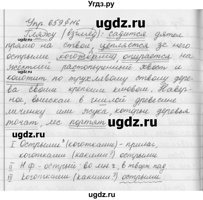 ГДЗ (Решебник №2 к учебнику 2016) по русскому языку 5 класс М.Т. Баранов / упражнение / 659