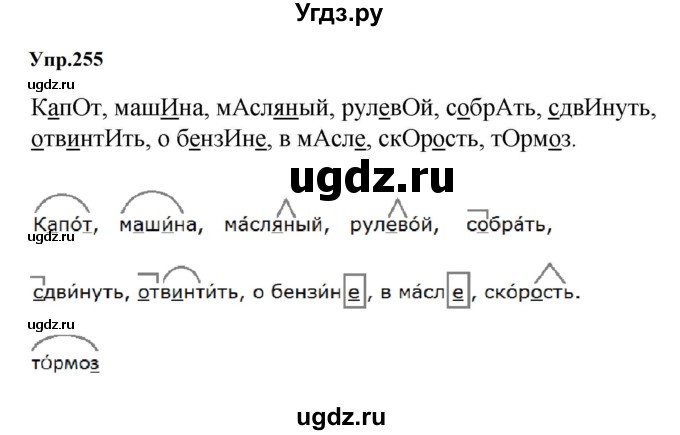 ГДЗ (Решебник к учебнику 2023) по русскому языку 5 класс М.Т. Баранов / упражнение / 255