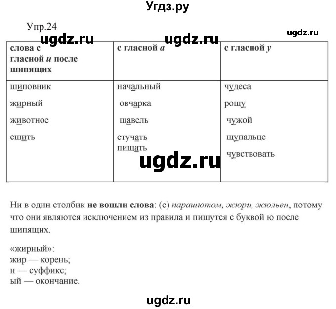 ГДЗ (Решебник к учебнику 2023) по русскому языку 5 класс М.Т. Баранов / упражнение / 24