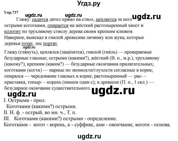 ГДЗ (Решебник к учебнику 2023) по русскому языку 5 класс М.Т. Баранов / упражнение / 737