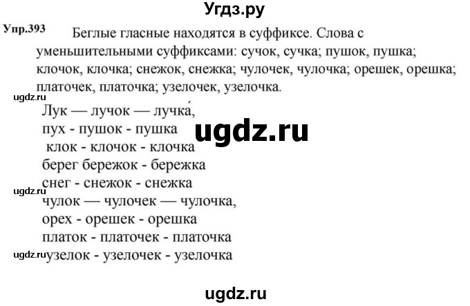 ГДЗ (Решебник к учебнику 2023) по русскому языку 5 класс М.Т. Баранов / упражнение / 393