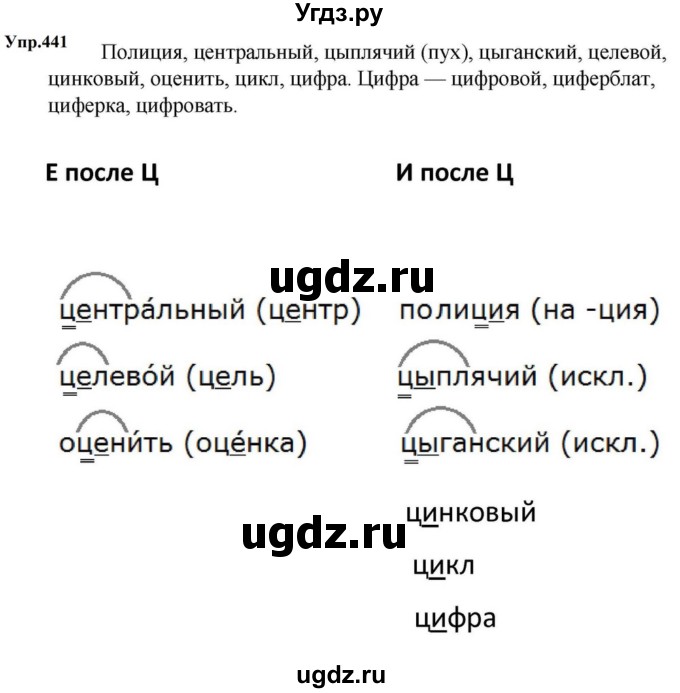 ГДЗ (Решебник к учебнику 2023) по русскому языку 5 класс М.Т. Баранов / упражнение / 441