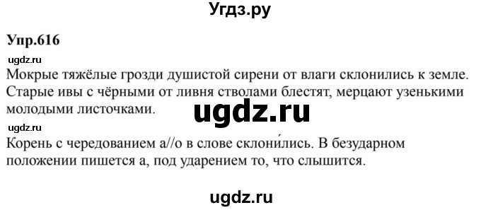 ГДЗ (Решебник к учебнику 2023) по русскому языку 5 класс М.Т. Баранов / упражнение / 616