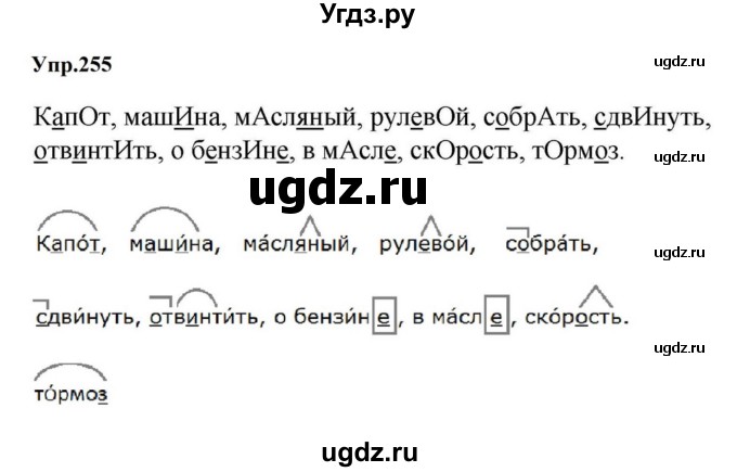ГДЗ (Решебник к учебнику 2023) по русскому языку 5 класс М.Т. Баранов / упражнение / 255