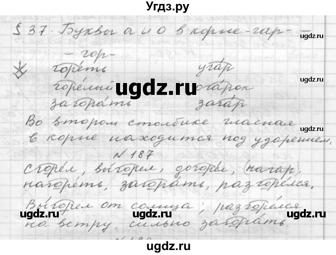 ГДЗ (Решебник №2 к учебнику 2015) по русскому языку 6 класс М.Т. Баранов / упражнение / 187