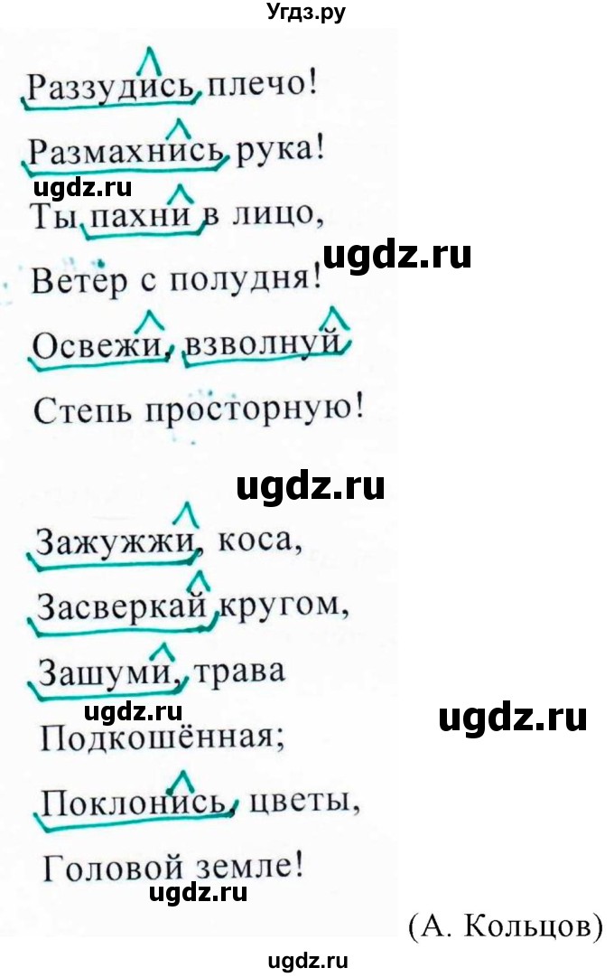 ГДЗ (Решебник к учебнику 2020) по русскому языку 6 класс М.Т. Баранов / упражнение / 598