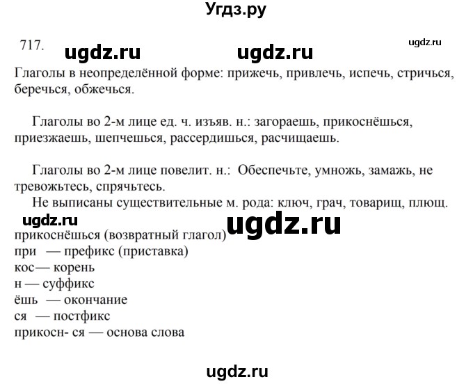 ГДЗ (Решебник к учебнику 2023) по русскому языку 6 класс М.Т. Баранов / упражнение / 717
