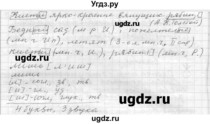 ГДЗ (Решебник к учебнику 2020) по русскому языку 6 класс М.Т. Баранов / упражнение / 201(продолжение 2)