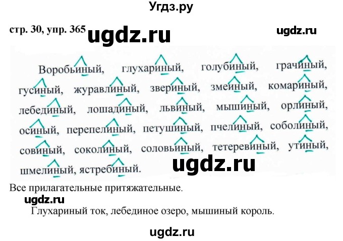 ГДЗ (Решебник №1 к учебнику 2015) по русскому языку 6 класс М.Т. Баранов / упражнение / 365
