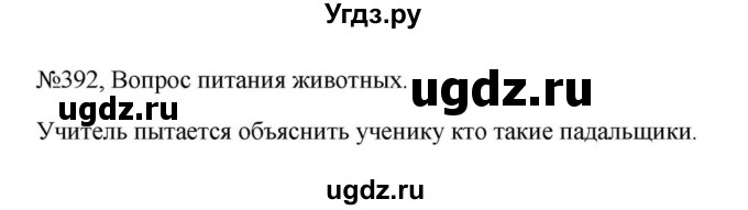 ГДЗ (Решебник к учебнику 2023) по русскому языку 6 класс М.Т. Баранов / упражнение / 392