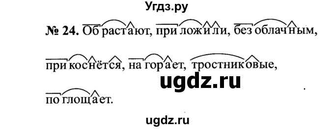 ГДЗ (Решебник №3 к учебнику 2015) по русскому языку 7 класс М.Т. Баранов / упражнение / 24