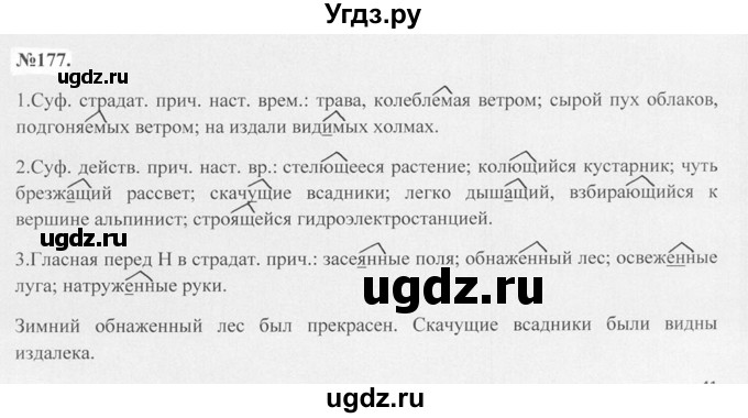ГДЗ (Решебник №2 к учебнику 2015) по русскому языку 7 класс М.Т. Баранов / упражнение / 177