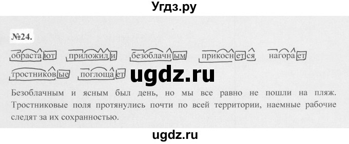 ГДЗ (Решебник №2 к учебнику 2015) по русскому языку 7 класс М.Т. Баранов / упражнение / 24