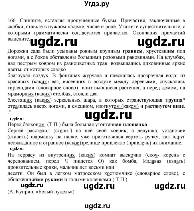 ГДЗ (Решебник к учебнику 2023) по русскому языку 7 класс М.Т. Баранов / упражнение / 166