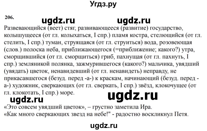 ГДЗ (Решебник к учебнику 2023) по русскому языку 7 класс М.Т. Баранов / упражнение / 206
