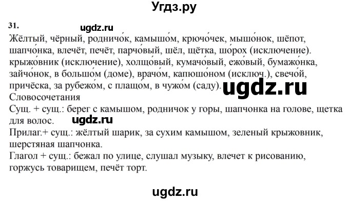 ГДЗ (Решебник к учебнику 2023) по русскому языку 7 класс М.Т. Баранов / упражнение / 31