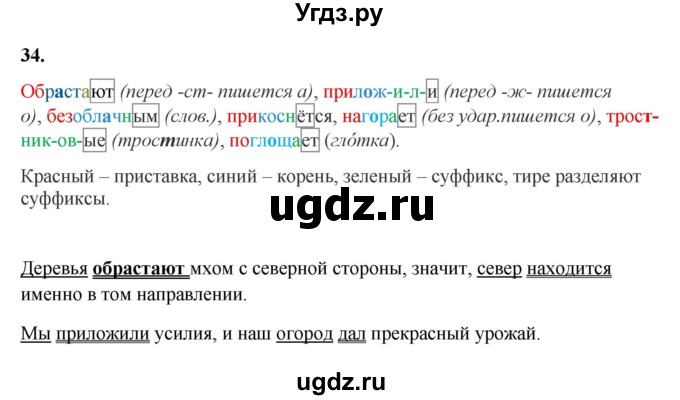 ГДЗ (Решебник к учебнику 2023) по русскому языку 7 класс М.Т. Баранов / упражнение / 34
