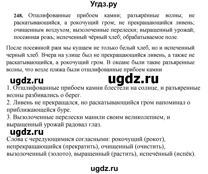 ГДЗ (Решебник к учебнику 2023) по русскому языку 7 класс М.Т. Баранов / упражнение / 248