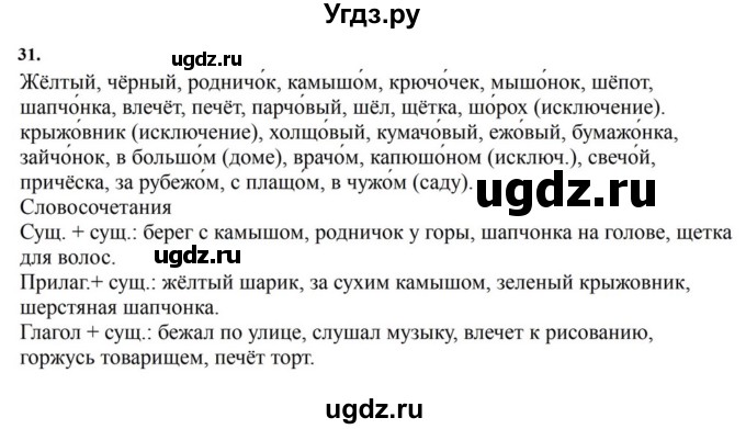 ГДЗ (Решебник к учебнику 2023) по русскому языку 7 класс М.Т. Баранов / упражнение / 31