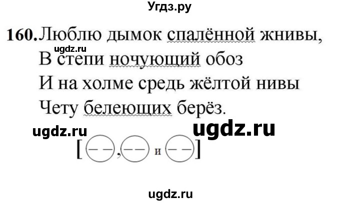 ГДЗ (Решебник к учебнику 2023) по русскому языку 7 класс М.Т. Баранов / упражнение / 160