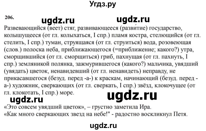 ГДЗ (Решебник к учебнику 2023) по русскому языку 7 класс М.Т. Баранов / упражнение / 206
