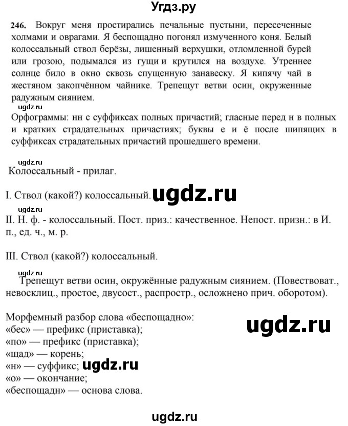 ГДЗ (Решебник к учебнику 2023) по русскому языку 7 класс М.Т. Баранов / упражнение / 246