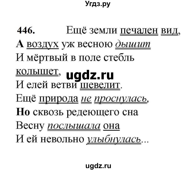 ГДЗ (Решебник к учебнику 2023) по русскому языку 7 класс М.Т. Баранов / упражнение / 446